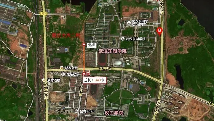 联投龙湾 武汉东湖学院,汉口学院等几所 , 大学城是商业聚集