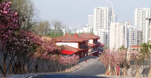 [提要]青实·樱花郡,位于樱花小镇内,浮山香苑北麓,环境优美,拥有得天