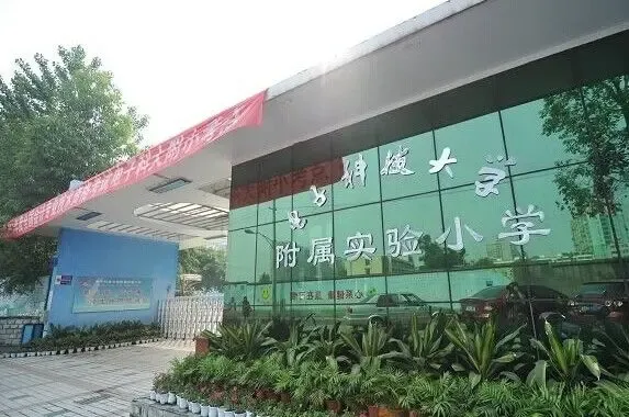 【名校探访】电子科大附小 个性化教育的新学