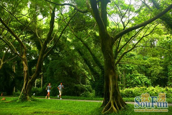 幸福生活:天气好时去环山绿道散散步 呼吸新鲜空气