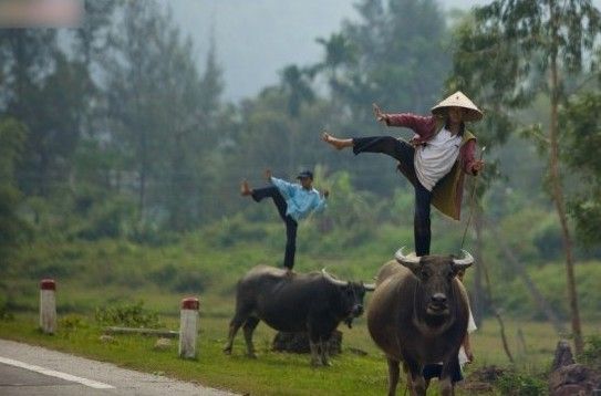 越南现人口_越南人到处挖陷阱 现在居然成了旅游景点