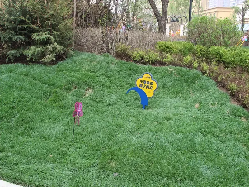 碧桂园银河城天域工地开放精彩瞬间回顾_搜房网