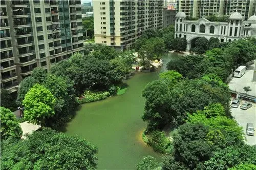 恒大拟再拓中山市场品质大盘获追捧