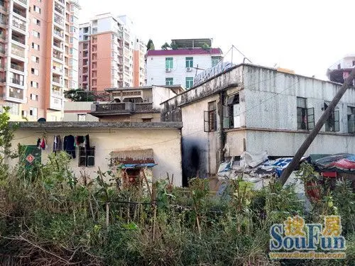 中轴线上的腾飞东平小学或迎来v小学新老区调高中到契机图片