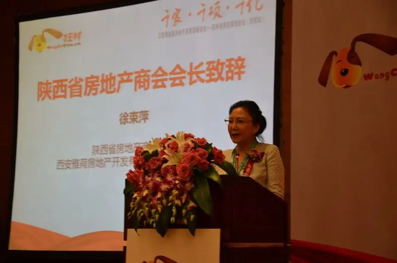 雅荷地产董事长_荷清妍雅图片