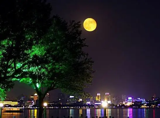 沿海菱角湖壹号