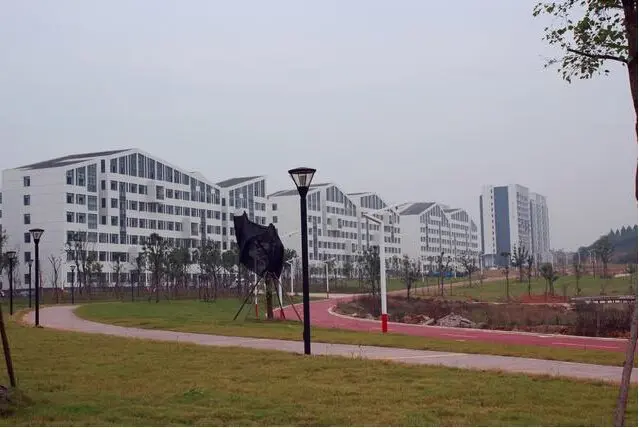 合工大