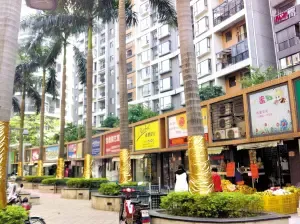探寻南海水果批发市场的魅力