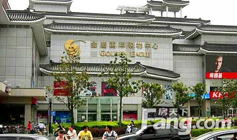 金鹰国际