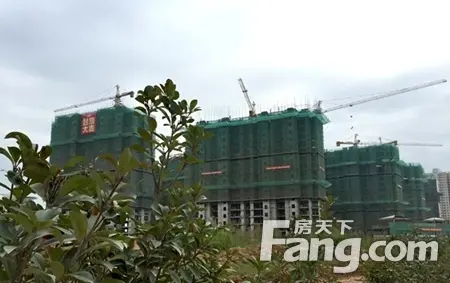 宁德亿利城肩负的不仅仅是提高宁德市民的生活质量与品位,更重要的是