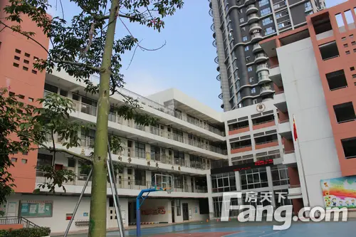 大元帅府小学的操场和教学楼(图片来源:房天下)