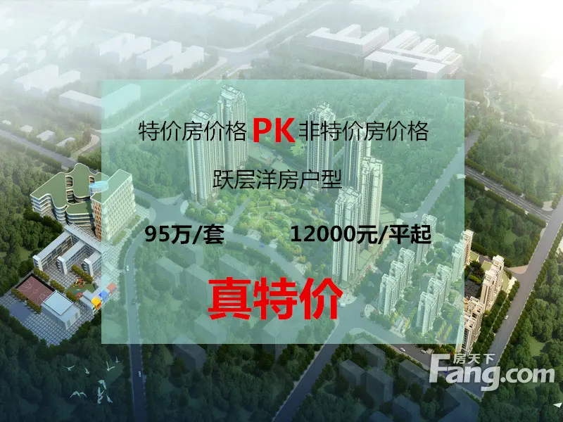 价格对比:公园置尚跃层洋房. 的价格在龙头寺周边其实也高清图片
