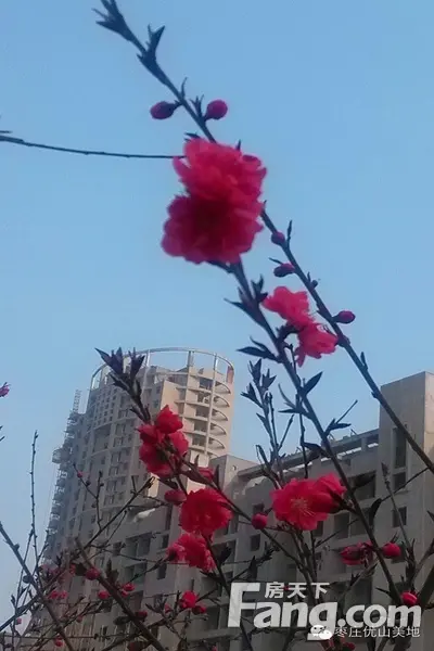 春色盎然优山美地花香四溢 高清实景美图欣赏