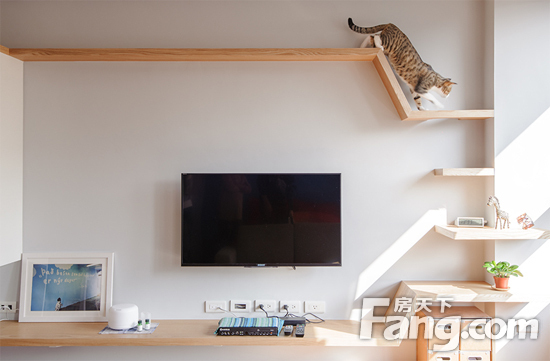 客厅电视上方设计了一个实木挂板,专门用于猫咪走动,靠近窗户的角落还