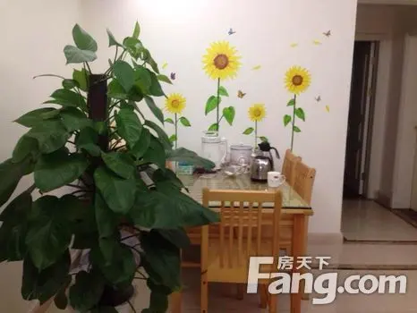 房天下