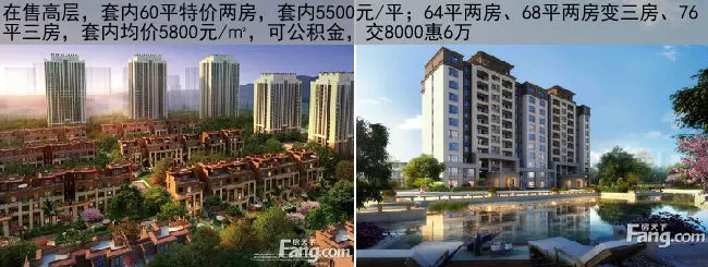 金科天宸