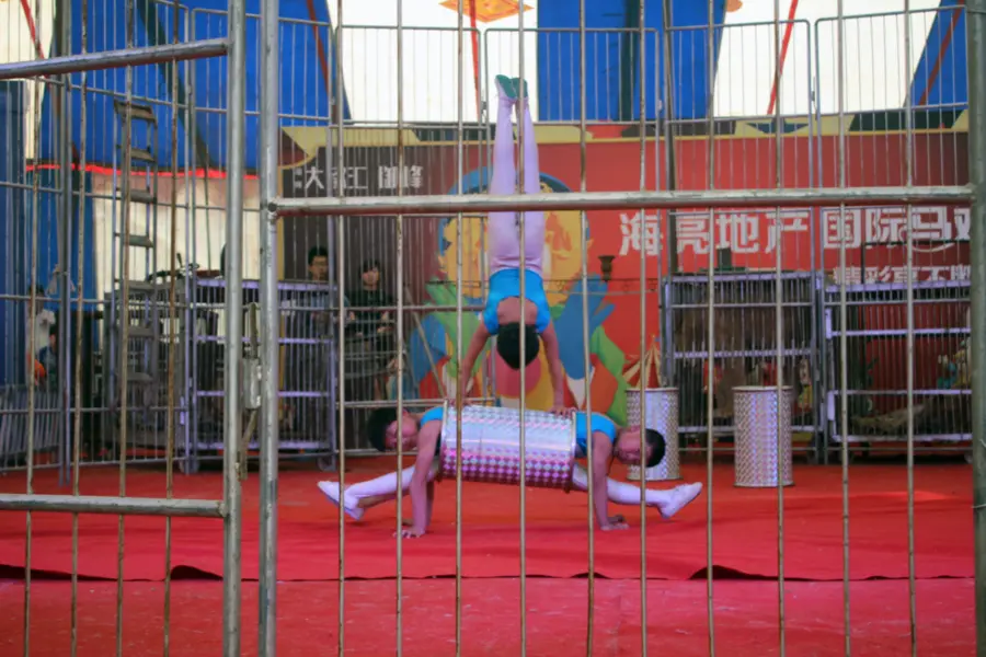 杂技:钻桶