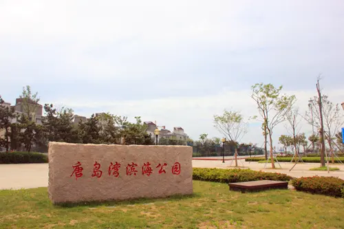 西海岸新区6月房价播报 万达某盘6980起