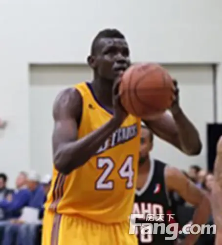 这个夏天赣州见 麦迪明星篮球队成员豪华阵容