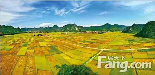 [提要]罗定已经成功获得4个国家地理标志产品保护,您知道吗?