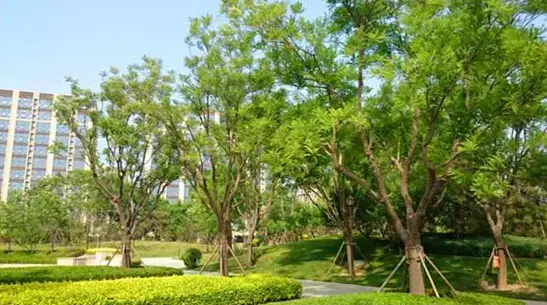 京东总部迁到亦庄15000名员工住哪?_房产频道