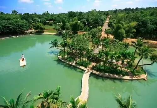 实力房企联姻长寿之乡碧桂园·美浪湾29日摘