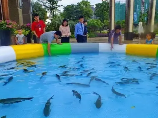 手机不过瘾!恒大名都真人版捕鱼达人等你来战