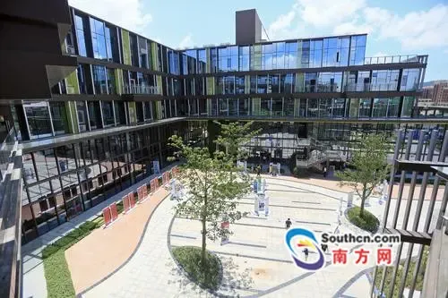 澳门创客+横琴:创业谷里的化学反应