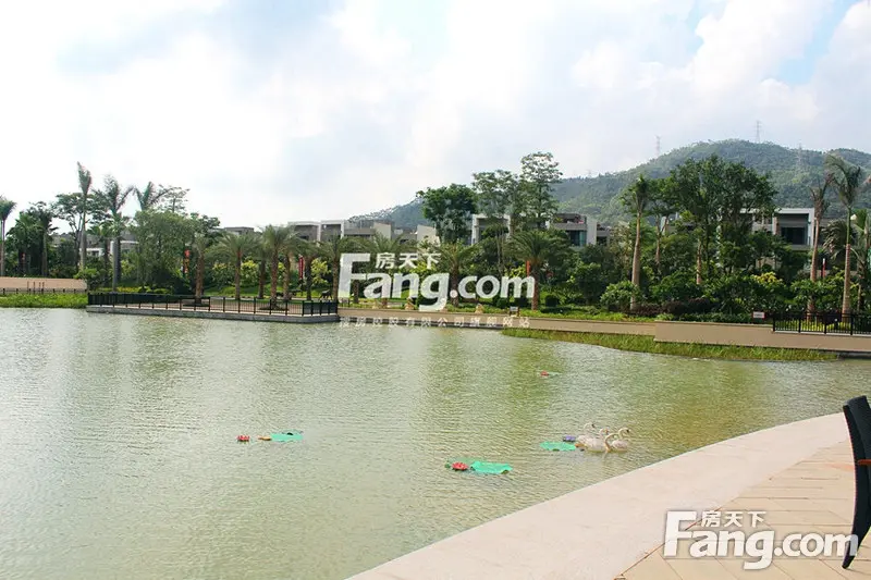实探|深圳客户前仆后继 惠湾高性价比新盘获青睐-惠州新房网-搜房网
