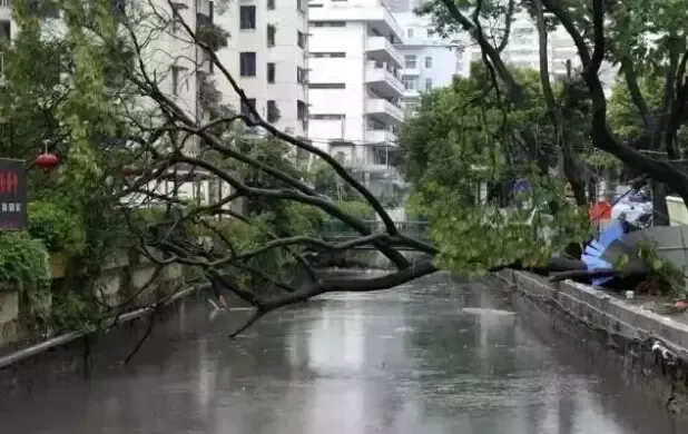 台风 莲花 强袭 惠州停课潮汕停机深圳你还好吗