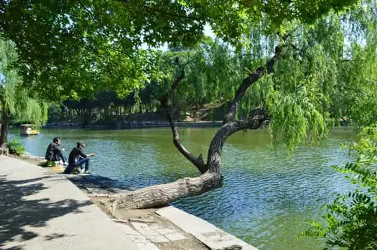 保定东风公园