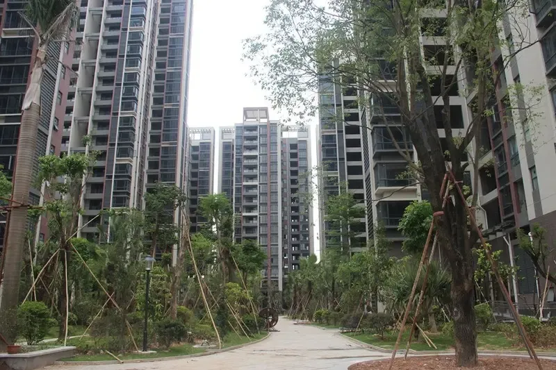 东莞临深区深圳客依然占大数 股_热点新闻_房