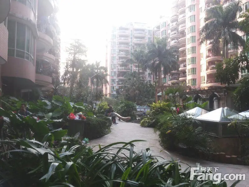 深圳布吉阳光花园