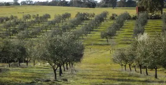 希腊攻略:瞬间涨见识了,希腊的口粮你知道多少
