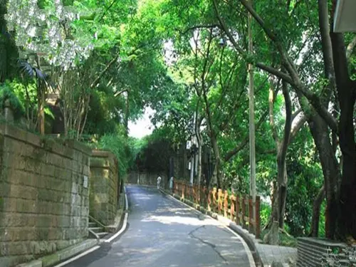 鸟瞰整个渝中半岛 地址: 渝中区枇杷山正街74号 枇杷山公园位于重庆市