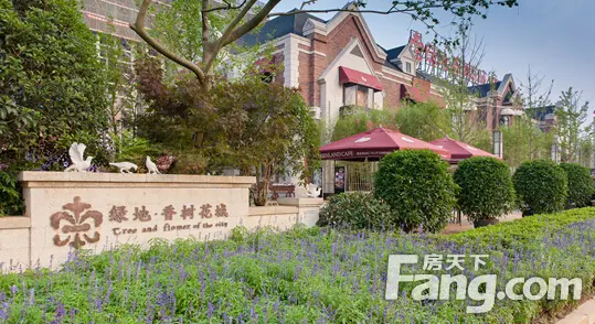 绿地香树花城 比 气温低五度