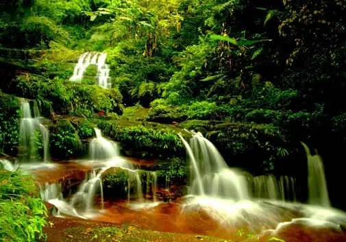 假日森林 安家森林寄情山水_房产资讯-重庆搜房网