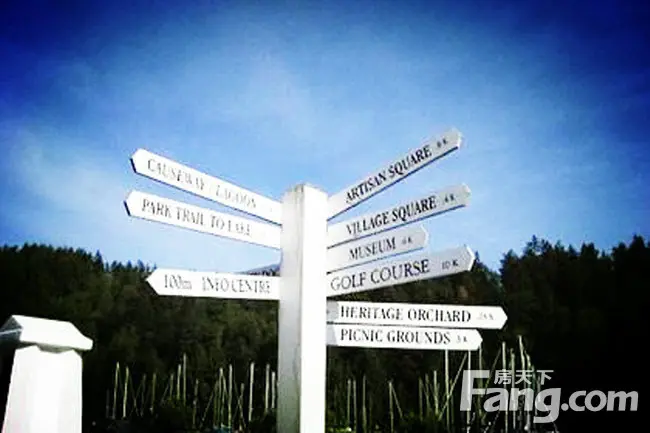 是什么治好了选择困难症-家居快讯-北京搜房装修家居网