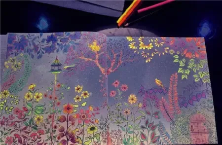 《秘密花园》到底为什么这么火?_房产资讯-沈阳搜房网