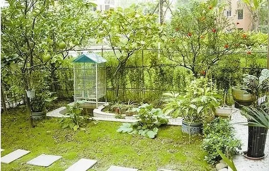 现在许多房产商努力在底层上做文章,如赠送院子,花园,且花园设计得