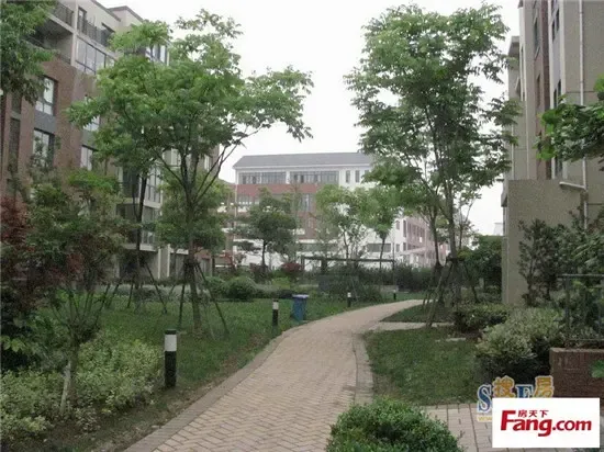 规避开发商跑路风险 无锡这些类型房企的