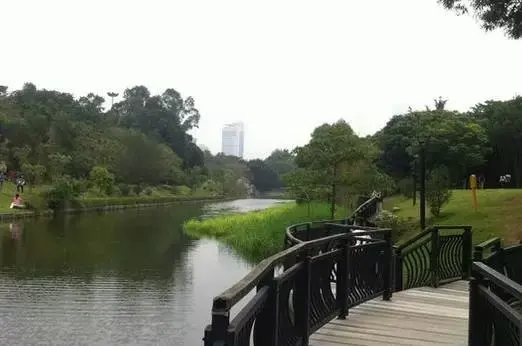如果厌倦了高楼大夏 可以去体验下深圳美绿道