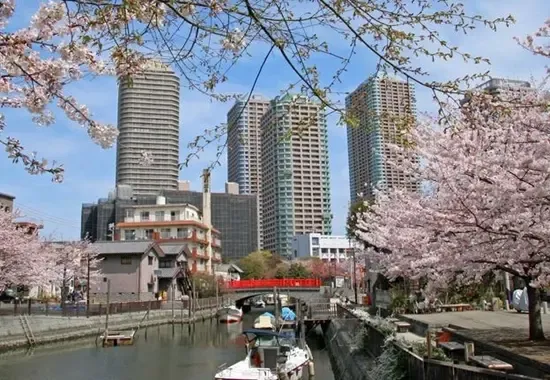 投资:东京23区独立不动产投资全解析-房天下日本房产网