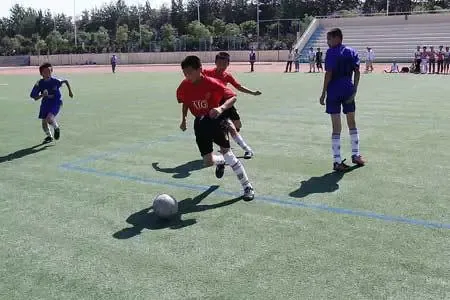 河北计划建1000所校园足球特色学校 5年内投