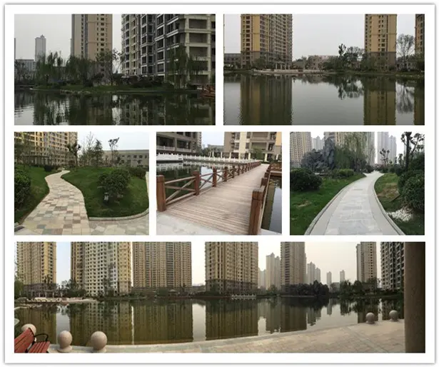 泰丰观湖景观实景