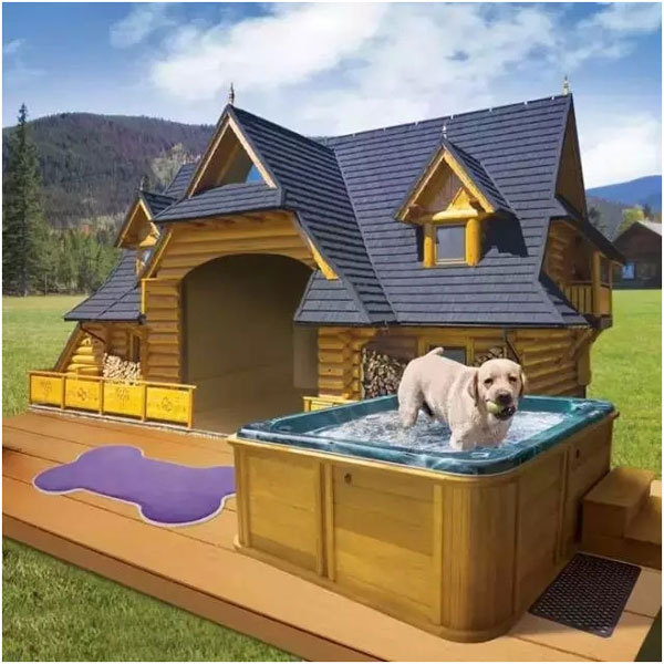 设计师们穷尽心思,为爱犬们设计了一个个温暖,舒适,美观的小房子,各具