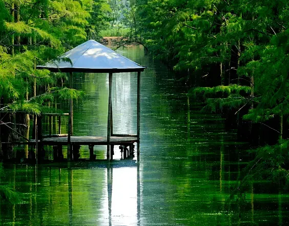 秋高气爽去钓鱼 盘点江城十大垂钓最佳地_房产资讯-武汉搜房网