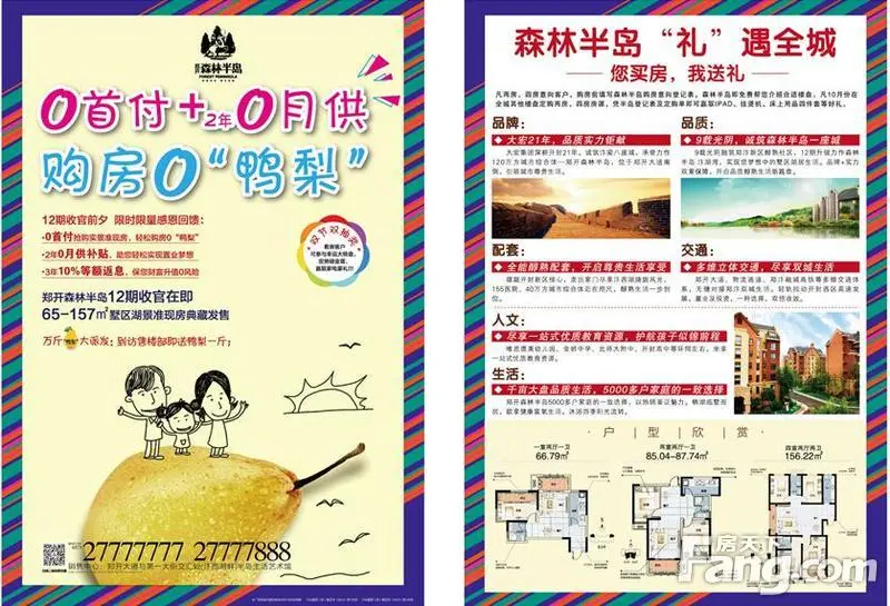 森林半岛