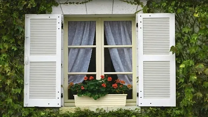 这些土法不靠谱! 新房快速除甲醛最好的3种方