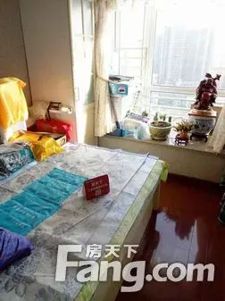 光彩新世纪家园 （南山 南山区）